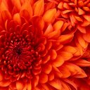 Tammy Barclay - @TammyLBarclay - Twitter