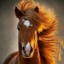 إنسان حر ! (@0000_nas) Twitter