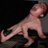 Grit0zuado's profile image