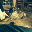 phillip geist - @pgeist10 - Twitter