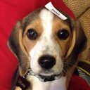 Connor Berry - @SmellTheColor9 - Twitter