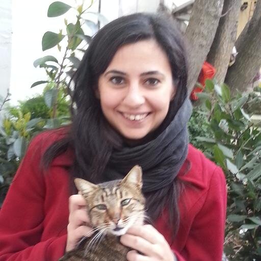 Reuters journalist based in Ankara