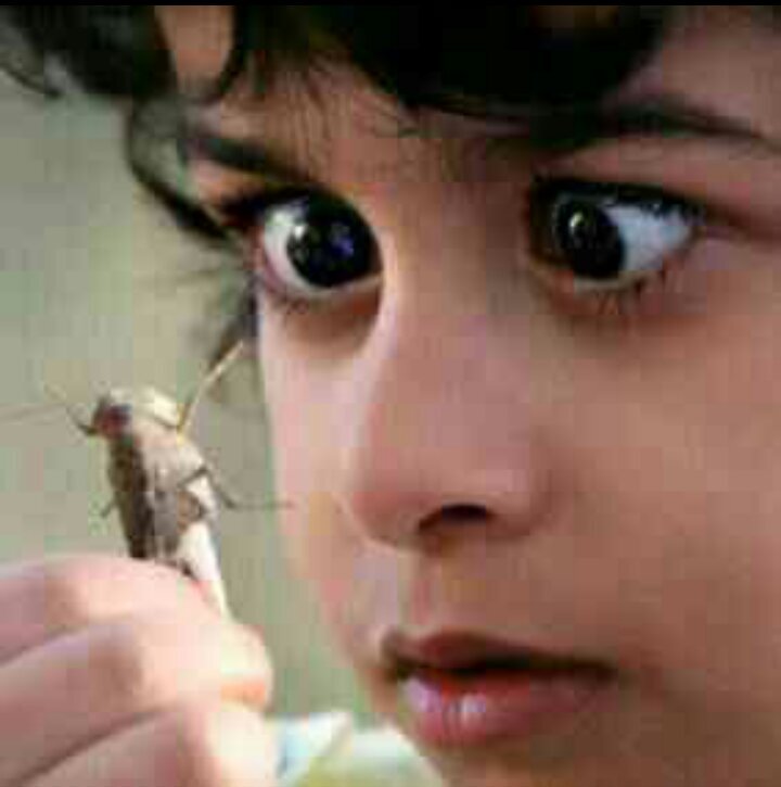 ‏‏‏‏‏‏‏‏لم احسد الذكور يوما على شي الا على زيارتهم للقبور،،‏