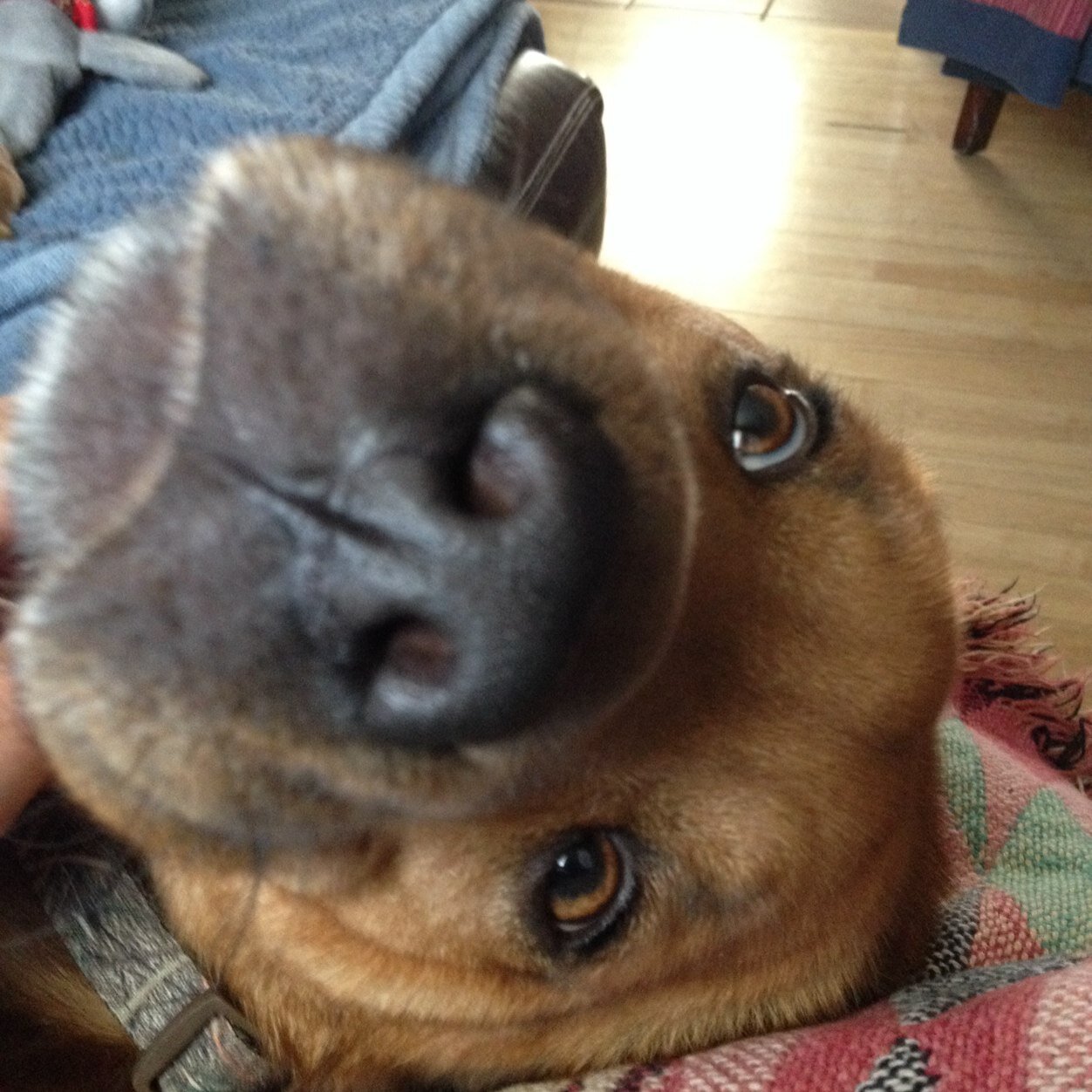 tmgracia5's profile picture. 