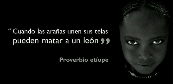 sigue tus instintos, nunca dejes q te manejen