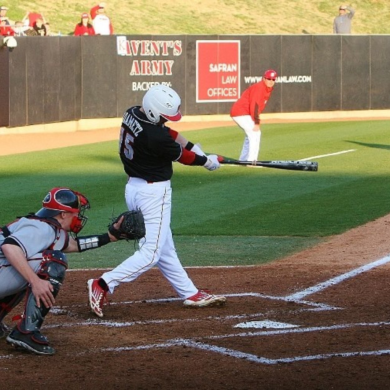 NC State alum. Former Nc state baseball player #15 palm beach to raleigh