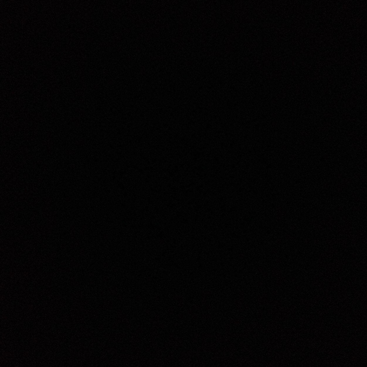 donniebrasco97's profile picture. 