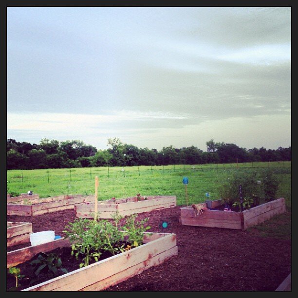 Donelson Community Gardens..A community garden and urban farm in the Heartland of Donelson, TN