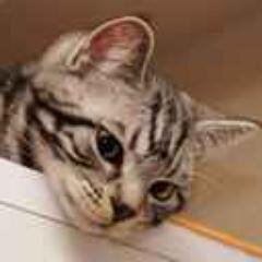 4月4日にお祝いしちゃう人です(^_^;)
blueは青、wellは井戸。二つ並べると⁉　　　14.4.4開始