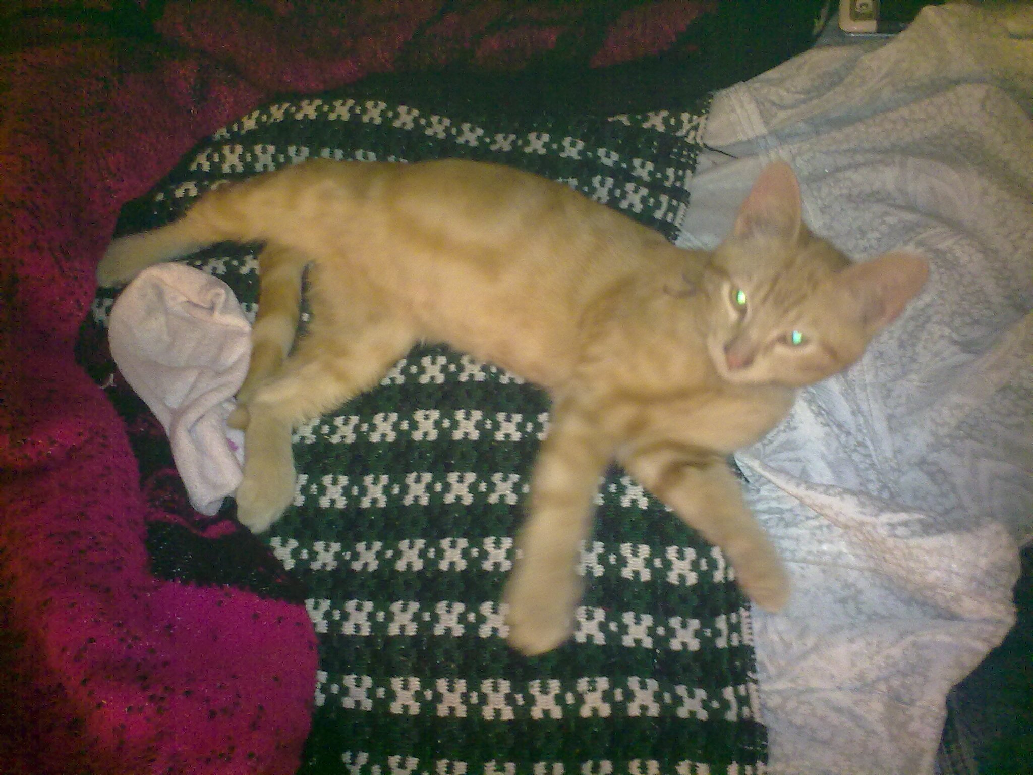 gfnavarrete1130's profile picture. del conde de navarrete