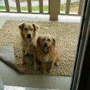 Seth Kerr - @kerr_seth - Twitter