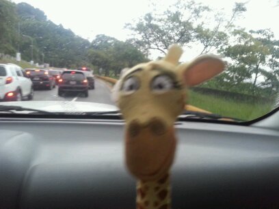 jorge_suarez_r's profile picture. 