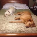 JOHN GRIFFITH - @jcgriff2 - Twitter