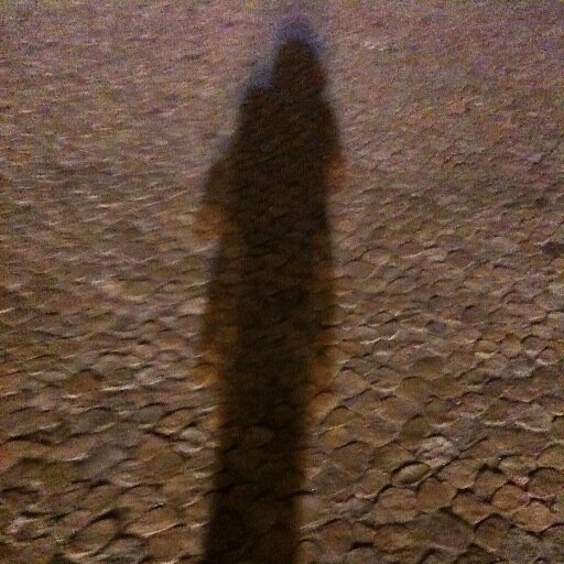 wholeofbeauty's profile picture. reader, writer, eater, admirer, human