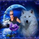 nolan - @nolan_guy - Twitter