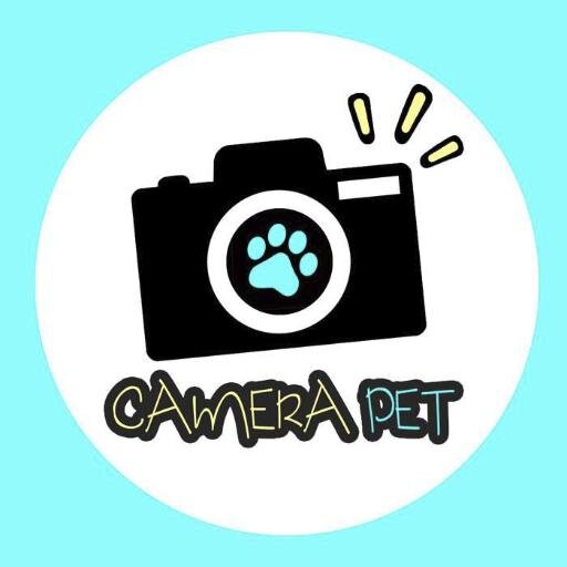 Fotografía profesional para ti y tu humano. miau!! guauu!!!