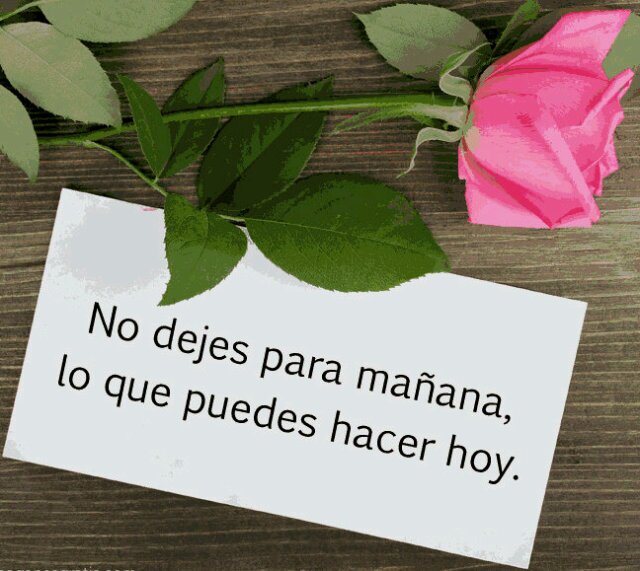 AndrisGala350's profile picture. 