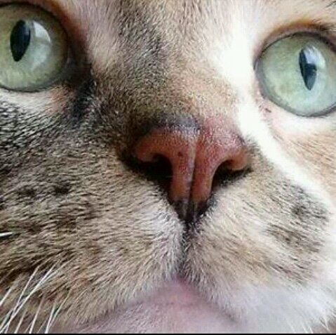 ggdonan's profile picture. Economista con ferviente anhelo por el desarrollo de El Salvador