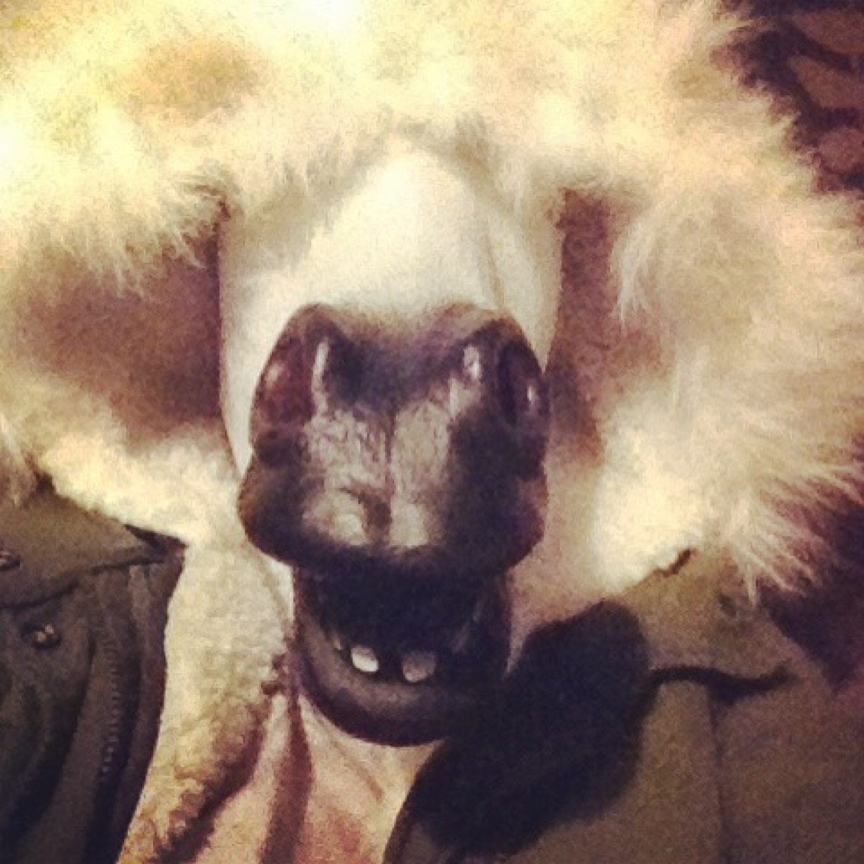 BillieWesterman's profile picture. 