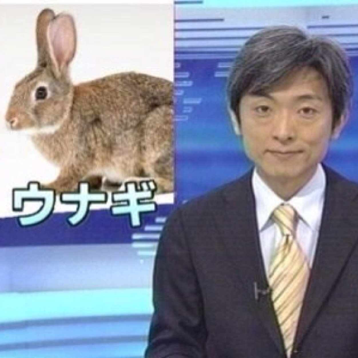 整骨院エンダお酒音楽