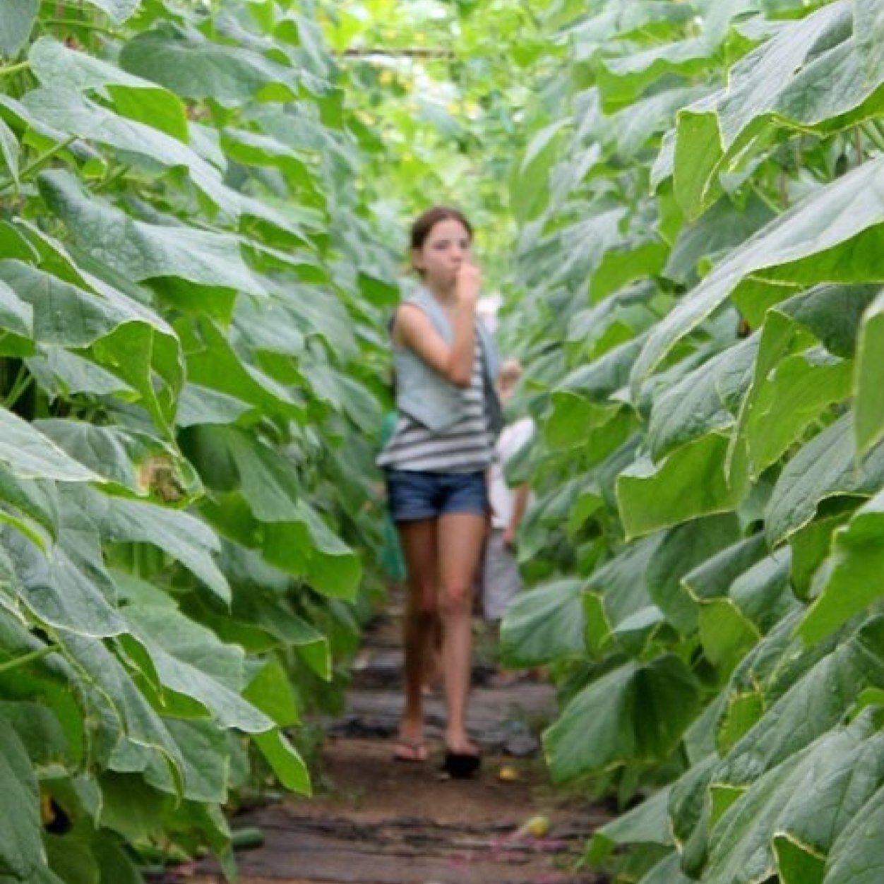 MotherNatures1's profile picture. Mother Natures is a locally & farmer owned retail & wsale fruit, veg, dairy & pantry essential store. 191 Orlando st, Coffs Harbour Mon-Fri 8-6pm Sat-Sun 8-5pm