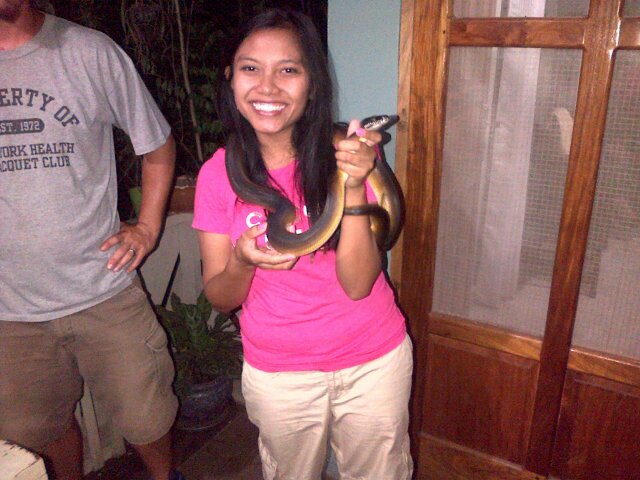 DewLum's profile picture. 