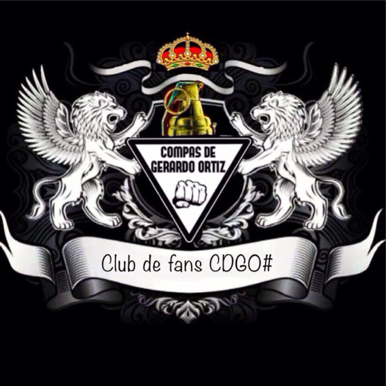 CompasdeGO's profile picture. 