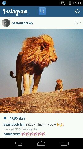 lovetech2's profile picture. lawyer,love of hope,life,family,peace,GOD,LOVE!