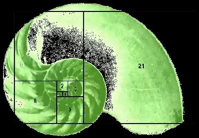 Life_Thrive_411's profile picture. \\ If you don't stop and look around once in a while, you could miss it //