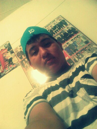 Tengo sueños e ilusiones, en cada sonrisa.♥
♡Directioner boy♡