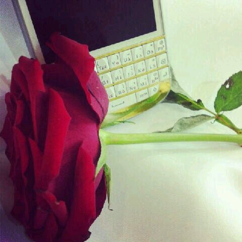 332111Ragaad's profile picture. 