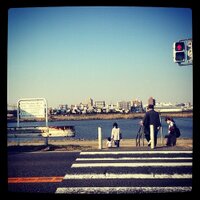 traveline (@traveline) Twitter profile photo