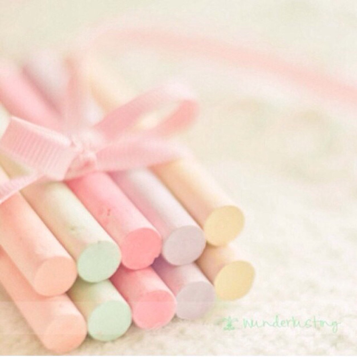 lionxrehab's profile picture. 