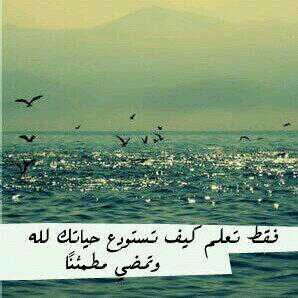 فتاةتعشق البساطه.. أمنيتي أكون داعيه..مغرمه بحب اﻻعﻻم المحافظ