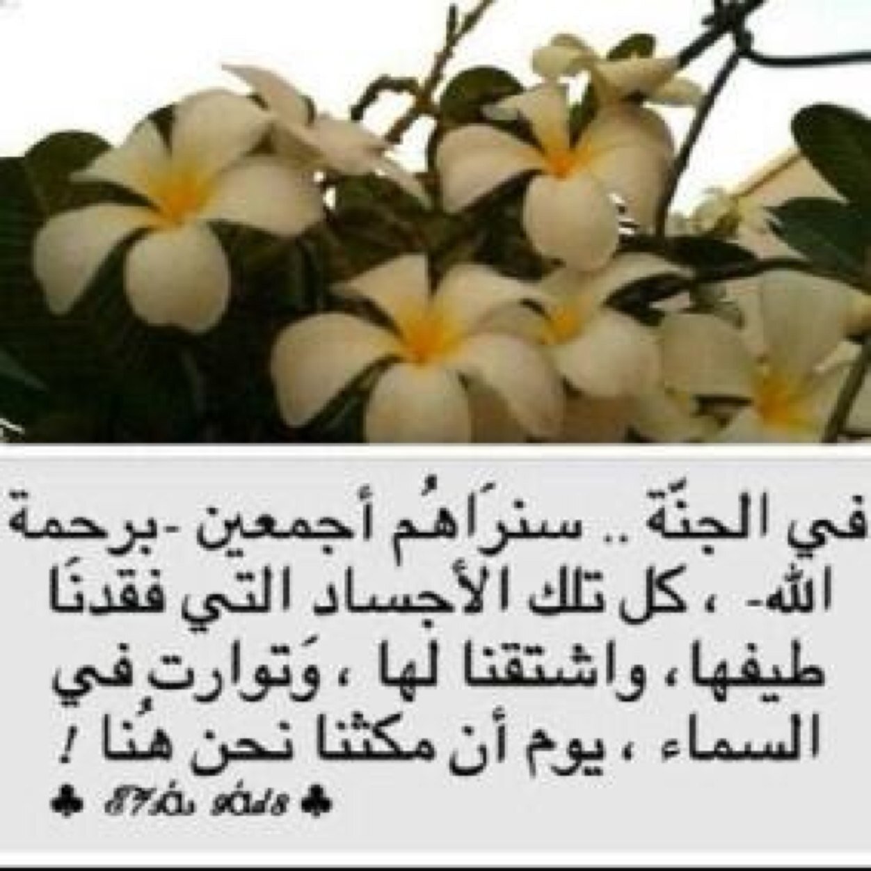 اللهم أني أودعت هذا الحساب لـ فيصل احمد المنصوري و لجميع موتآنآ وموتى المسلمين . .