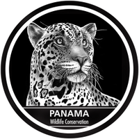 Panama Wildlife Conservation(@Panwildlife) 's Twitter Profileg