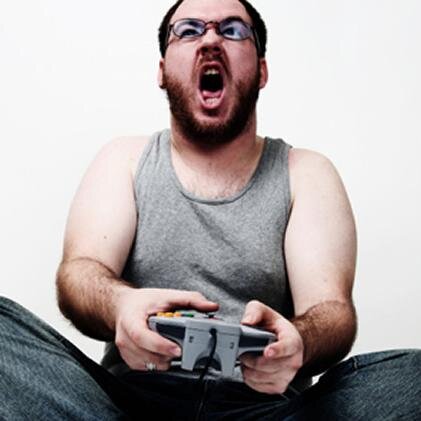 Gamer - Player - Beta Tester - H.A.W.X - Battlefield 4 - DoTA 2 - Minecraft - Plant vs Zombie 2 - Bacon - Beer - @pewdiepie's fan - Bro Army
