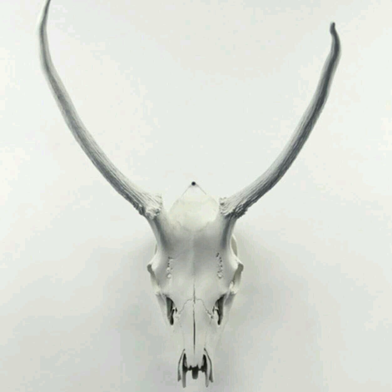 RidhoperdanaM's profile picture. 