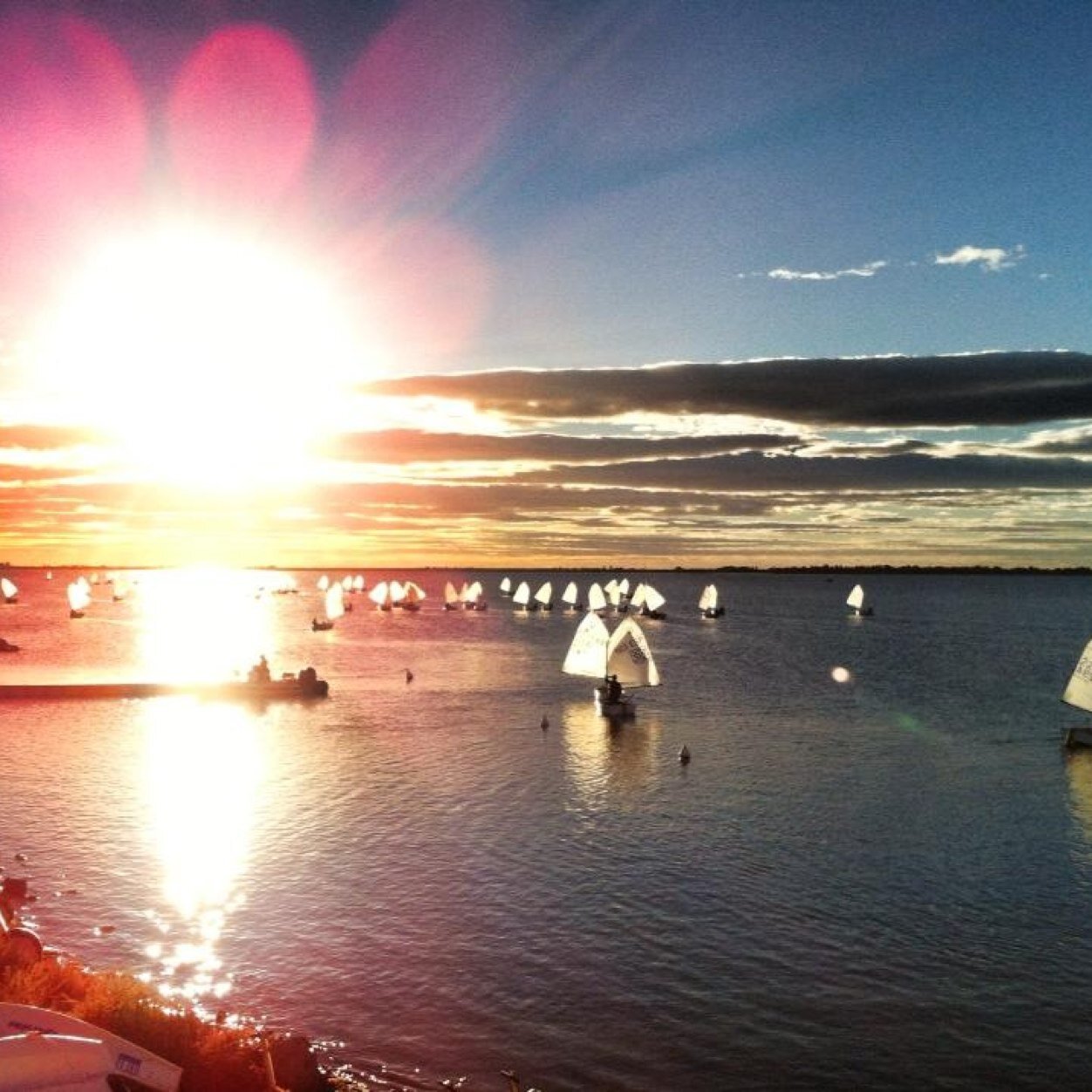 mrxala's profile picture. 