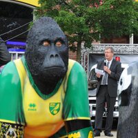 GoGoGorillas (@gogogorillas) Twitter profile photo