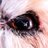mick4040's profile image
