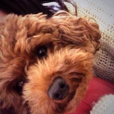 坂井南津美