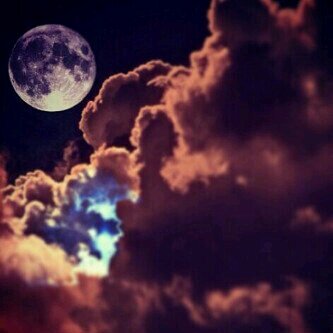 AmXx17's profile picture. 