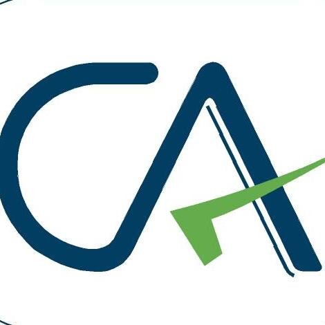 Chartered Accountant