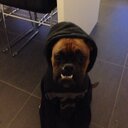 bryan stone - @bryanstone7 - Twitter