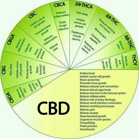 #CBD, #HEMP OIL, #CANNIBIDIOL