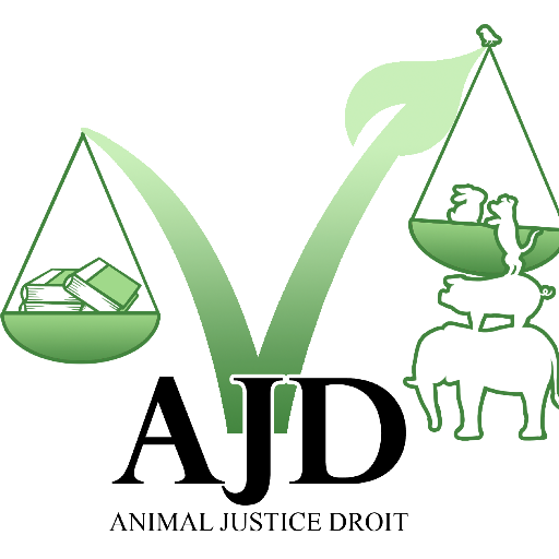 #AnimalJusticeEtDroit est née de l'initiative d'un groupe d'#avocats particulièrement sensibles à la #CauseAnimale #DroitAnimal #DroitDesAnimaux -