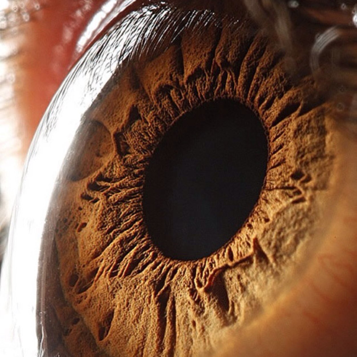 Mariluciali's profile picture. “ eu só sei que nada sei “ Sócrates.