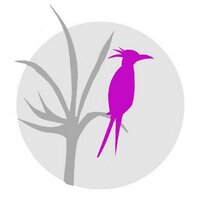 Laura Little (@pinkparrot1) 's Twitter Profile