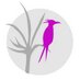 Laura Little (@pinkparrot1) Twitter profile photo Laura Little (@pinkparrot1) Twitter profile photo